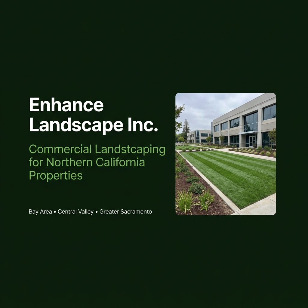 Pacific Green Landscape Maintenance