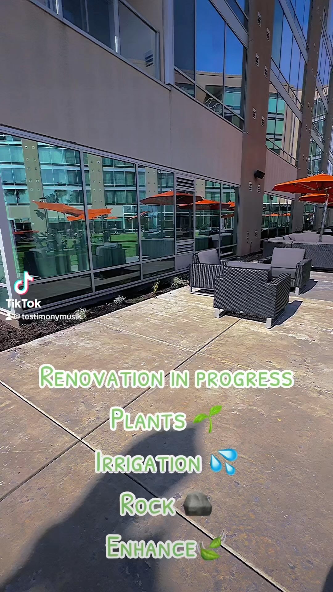 Commercial tree care and shrub pruning on a California property